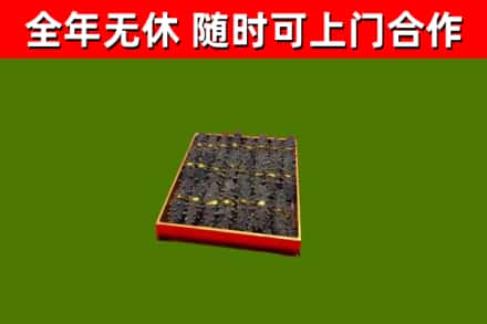腾冲回收海参